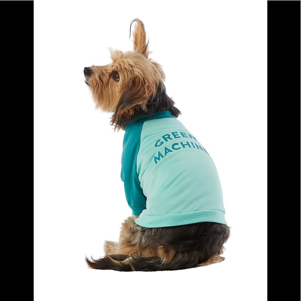 Brand new Top Paw Dog Tee